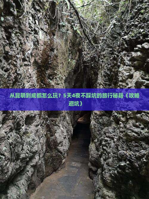 昆明去四川成都旅游
