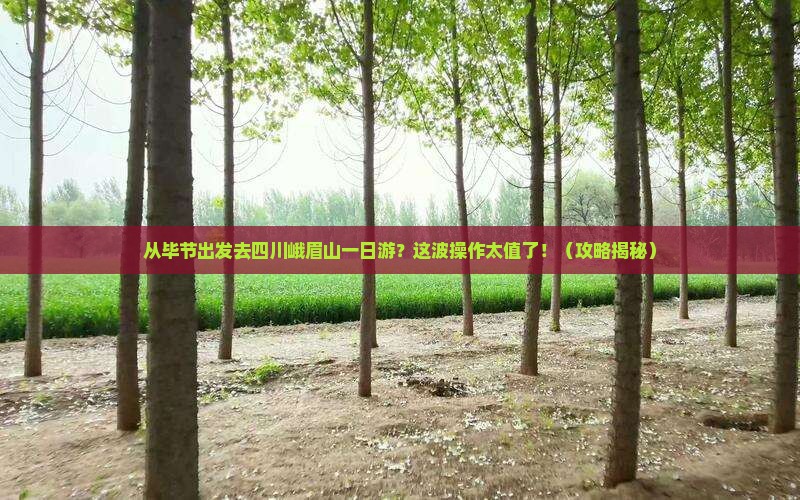 毕节去四川峨眉山一日