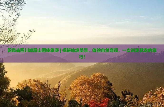 阳泉去四川峨眉山团体旅游
