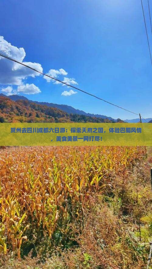 贺州去四川成都六日游