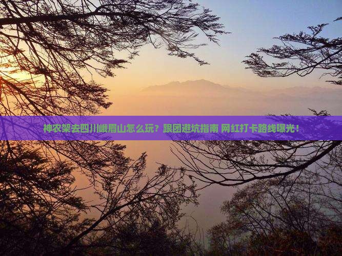 神农架去四川峨眉山团体旅游