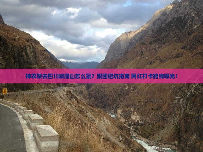 神农架去四川峨眉山团体旅游