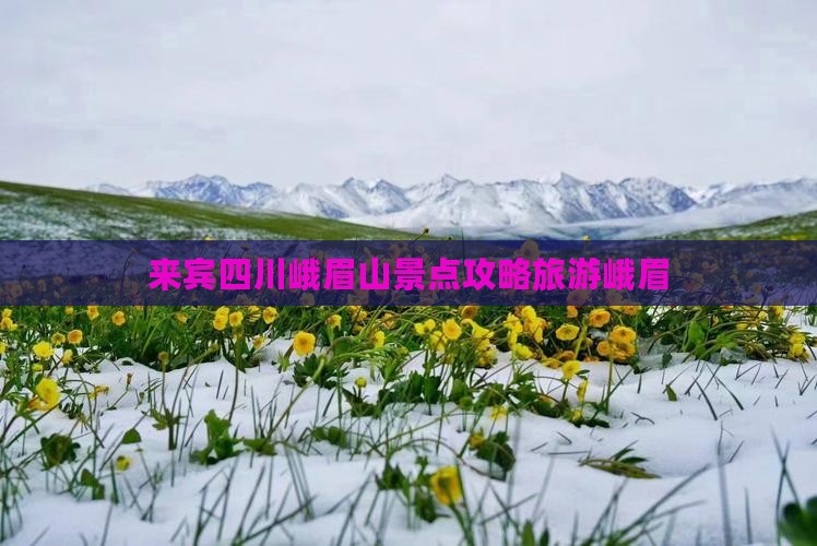 来宾到四川峨眉山景点