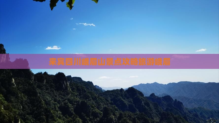 来宾到四川峨眉山景点
