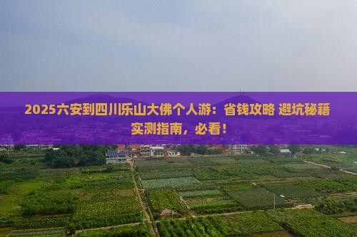 六安到四川乐山大佛个人游