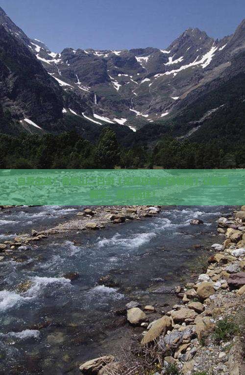 自贡去四川青城山二日游