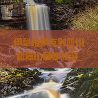 伊犁哈萨克到四川峨眉山团体旅游