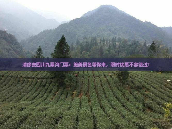 清徐去四川九寨沟门票