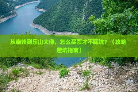 泰州到四川乐山大佛门票