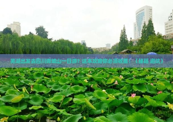 芜湖到四川青城山一日