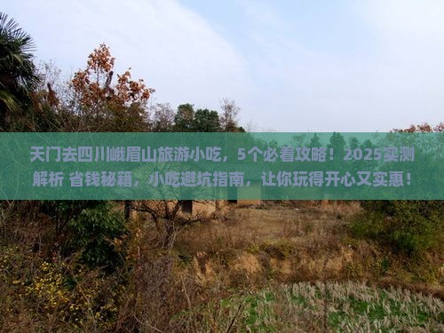 天门去四川峨眉山旅游小吃