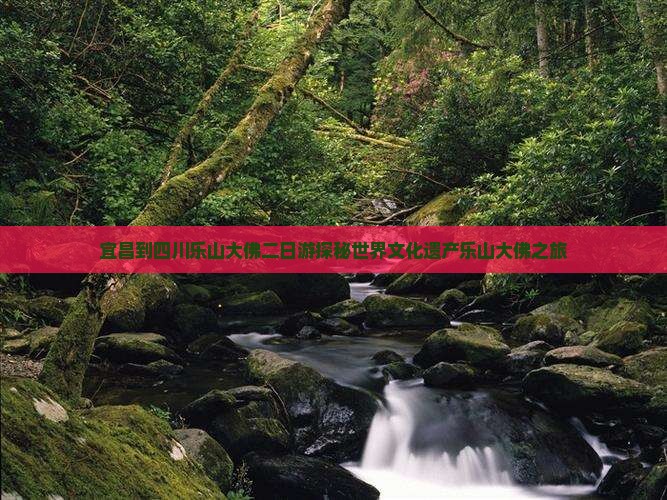 宜昌到四川乐山大佛二日游