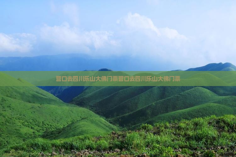 营口去四川乐山大佛门票