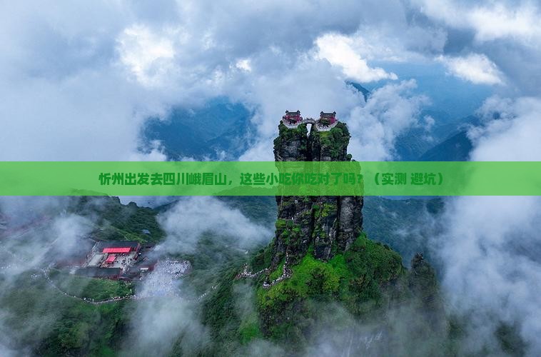 忻州去四川峨眉山旅游小吃 忻州去四川峨眉山旅游小吃