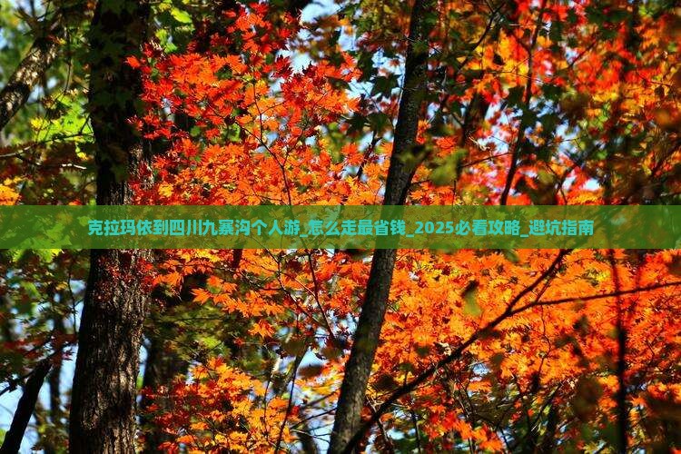 克拉玛依到四川九寨沟个人游