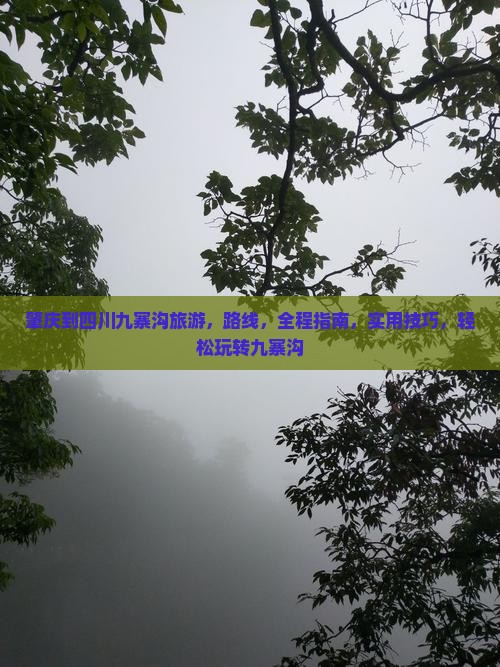 肇庆到四川九寨沟旅游