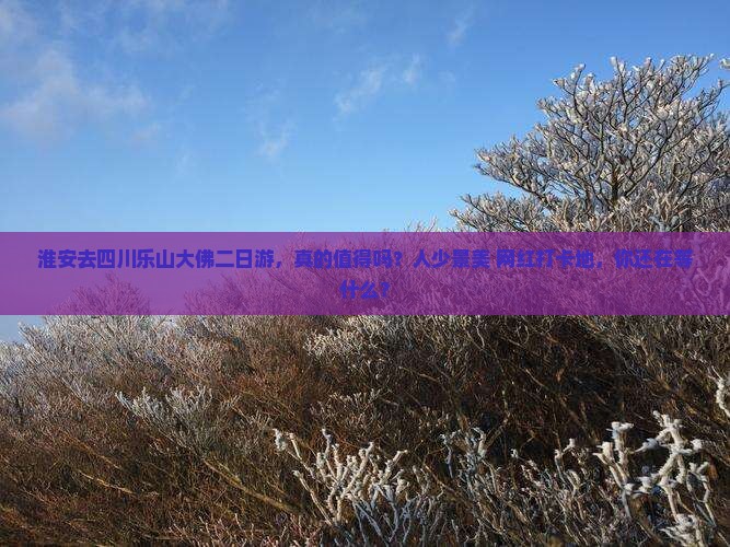 淮安去四川乐山大佛二日游