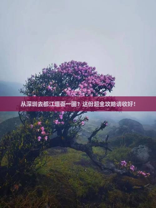深圳到四川都江堰攻略