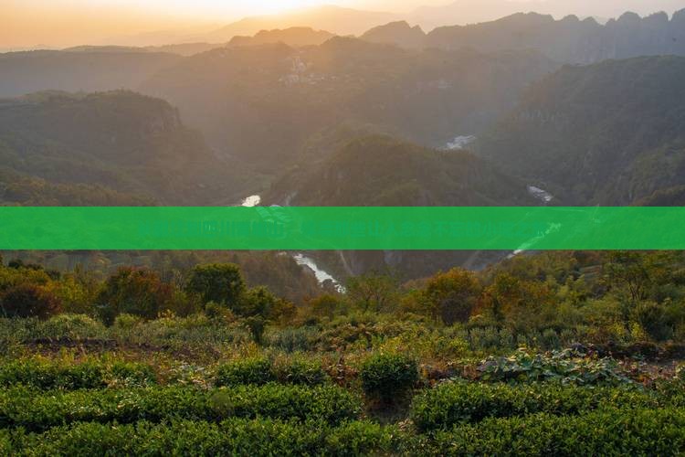 丽江去四川青城山旅游小吃