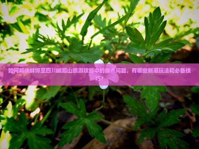 蚌埠去四川峨眉山攻略