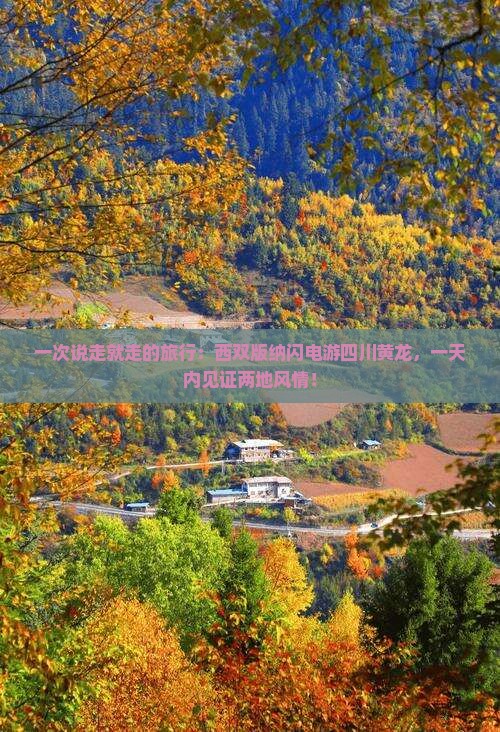 西双版纳到四川黄龙一日