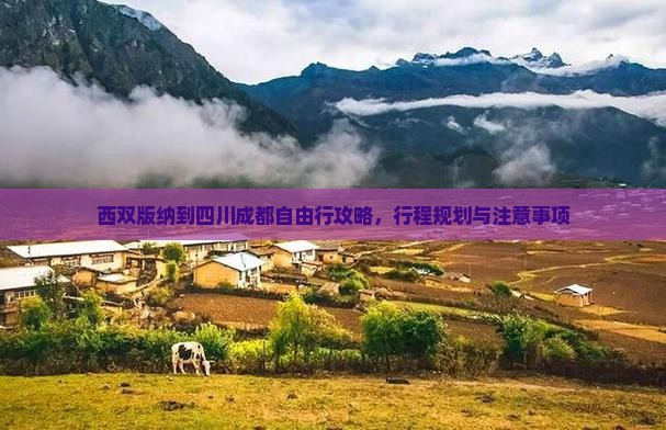 西双版纳到四川成都自由行