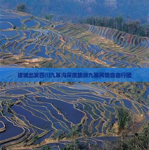 诸城去四川九寨沟自由团