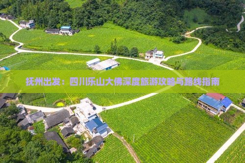 抚州到四川乐山大佛攻略