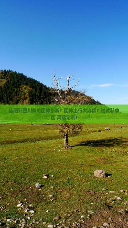 信阳到四川黄龙团体旅游