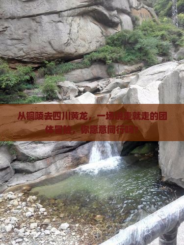 铜陵到四川黄龙团体旅游