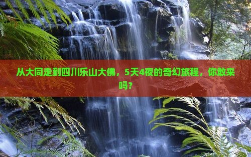 大同到四川乐山大佛五日游
