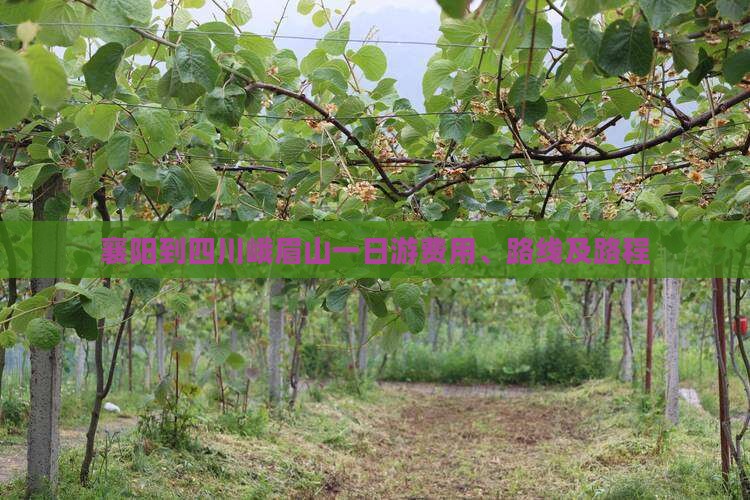 襄阳到四川峨眉山一日
