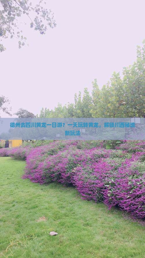 德州去四川黄龙一日