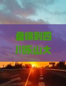 盘锦到四川乐山大佛旅行社