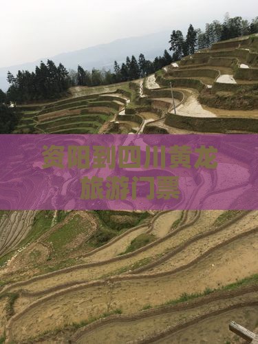 资阳到四川黄龙门票