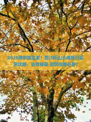 神农架去四川乐山大佛哪里玩