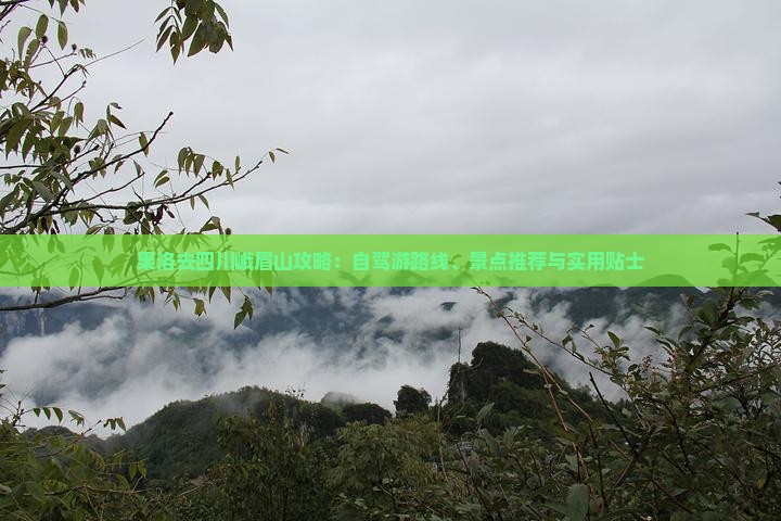 果洛去四川峨眉山攻略
