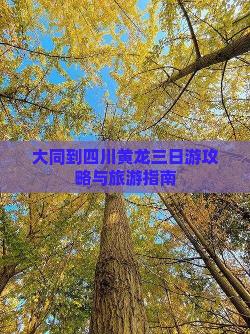 大同到四川黄龙三日游