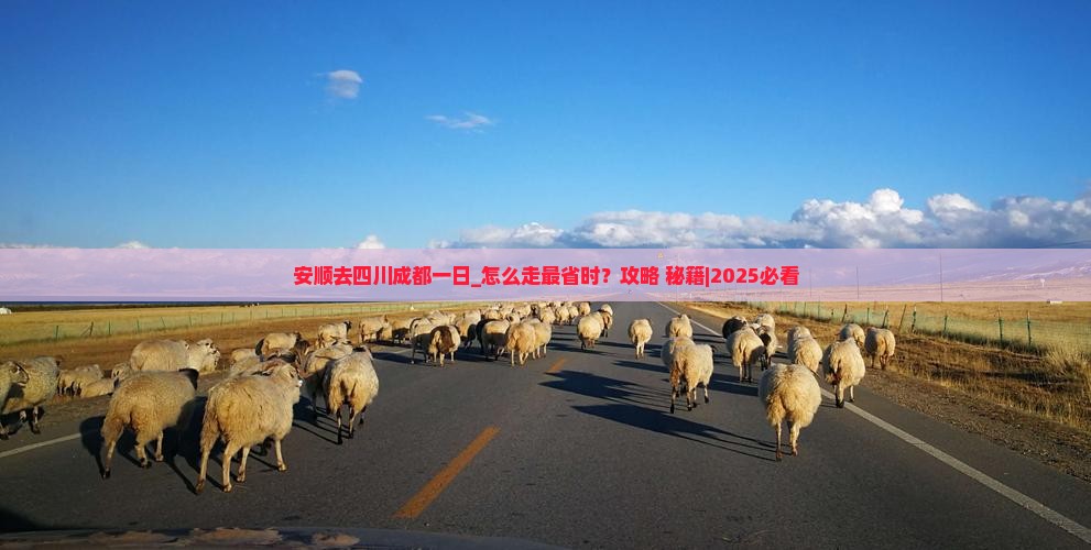 安顺去四川成都一日