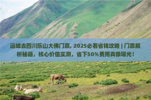 运城去四川乐山大佛门票