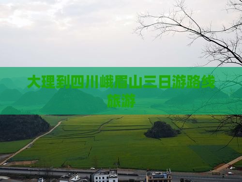 大理到四川峨眉山三日游