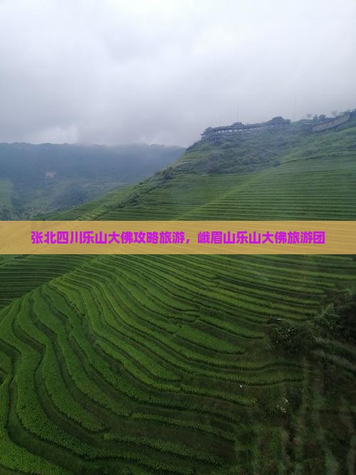 张北去四川乐山大佛大型旅游团