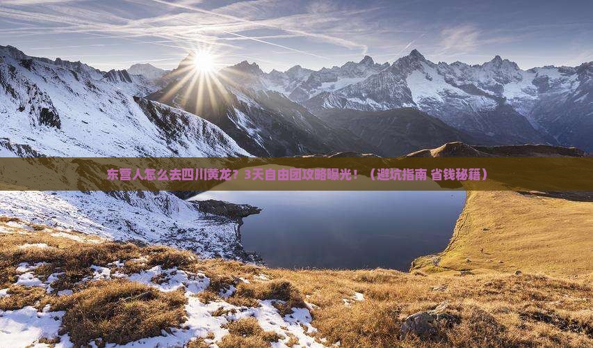 东营去四川黄龙自由团