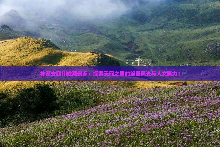 林芝去四川成都景点