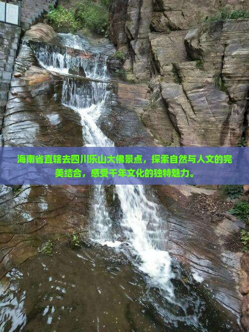 海南省直辖去四川乐山大佛景点