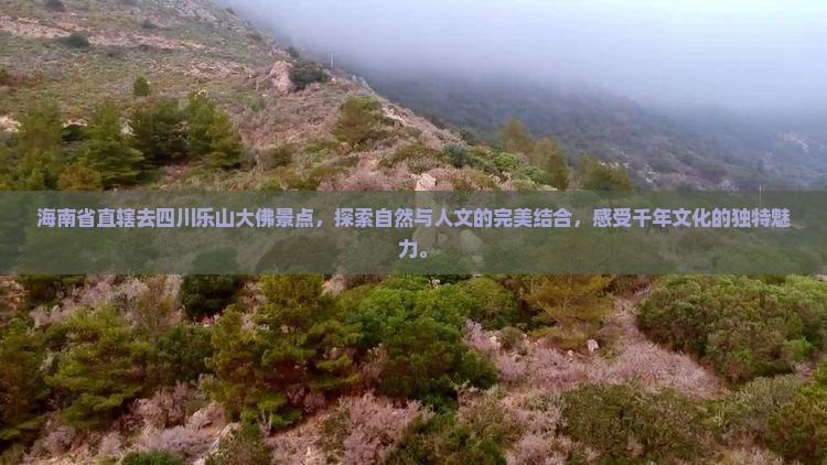 海南省直辖去四川乐山大佛景点