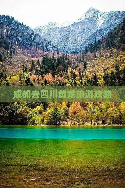 成都去四川黄龙旅游