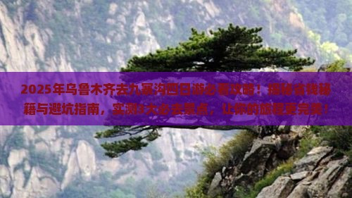 乌鲁木齐去四川九寨沟四日游