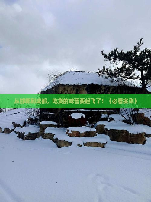 邯郸去四川成都旅游小吃