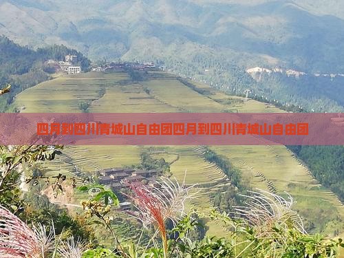 四月到四川青城山自由团